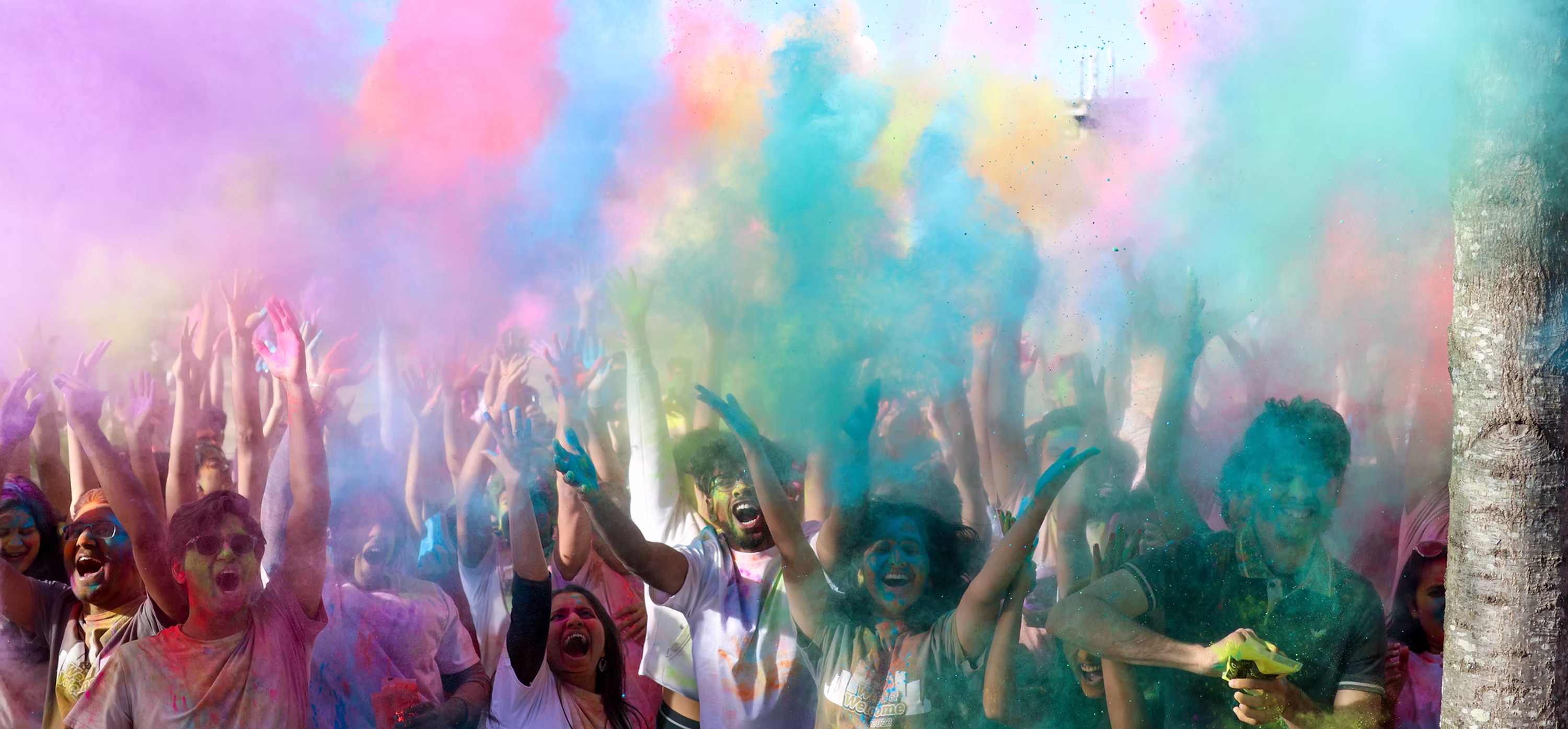 Holi celebration crowd